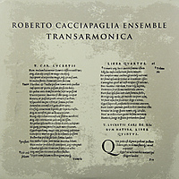 Виниловая пластинка ROBERTO CACCIAPAGLIA - TRANSARMONICA