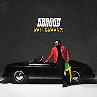 Виниловая пластинка SHAGGY - WAH GWAAN?! (2 LP)