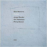 Виниловая пластинка SHAI MAESTRO - HUMAN (180 GR)