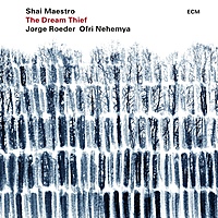 Виниловая пластинка SHAI MAESTRO - THE DREAM THIEF (180 GR)