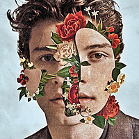 Виниловая пластинка SHAWN MENDES - SHAWN MENDES