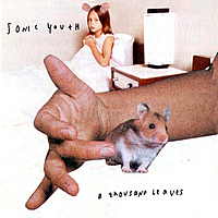 Виниловая пластинка SONIC YOUTH - A THOUSAND LEAVES (2 LP)