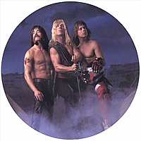 Виниловая пластинка SPINAL TAP - BREAK LIKE THE WIND (PICTURE)