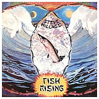 Виниловая пластинка STEVE HILLAGE - FISH RISING