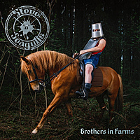 Виниловая пластинка STEVE'N'SEAGULLS - BROTHERS IN FARMS (2 LP)