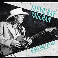 Виниловая пластинка STEVIE RAY VAUGHAN - BLUES YOU CAN USE (2 LP)