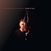 Виниловая пластинка STIMMING X LAMBERT - POSITIVE (2 LP, 180 GR)