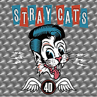 Виниловая пластинка STRAY CATS - 40