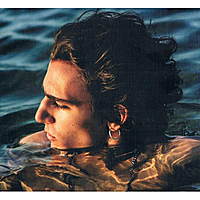 CD-диск TAMINO - AMIR