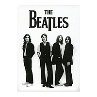 Магнит The Beatles - Group Shot