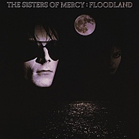 Виниловая пластинка SISTERS OF MERCY - FLOODLAND (4 LP, 180 GR)