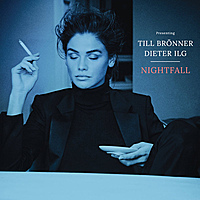 Виниловая пластинка TILL BRONNER & DIETER ILG -  NIGHTFALL (180 GR)