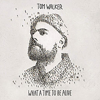 Виниловая пластинка TOM WALKER - WHAT A TIME TO BE ALIVE (180 GR)