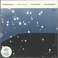 Виниловая пластинка TORD GUSTAVSEN - TORD GUSTAVSEN: WHAT WAS SAID (2 LP)