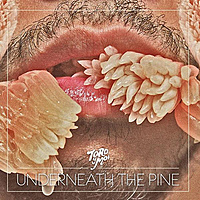 Виниловая пластинка TORO Y MOI - UNDERNEATH THE PINE (LIMITED, COLOUR)
