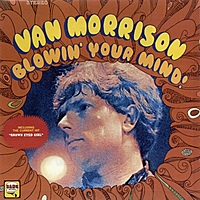 Виниловая пластинка VAN MORRISON - BLOWIN' YOUR MIND!