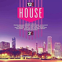 Виниловая пластинка VARIOUS ARTISTS - 12 INCH DANCE HOUSE (2 LP)