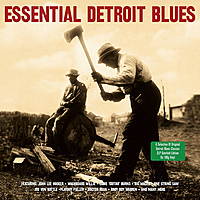 Виниловая пластинка VARIOUS ARTISTS - ESSENTIAL DETROIT BLUES (2 LP)