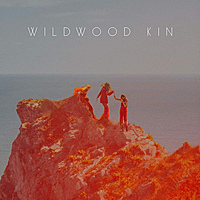 Виниловая пластинка WILDWOOD KIN - WILDWOOD KIN