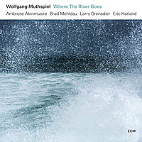 Виниловая пластинка WOLFGANG MUTHSPIEL - WHERE THE RIVER GOES (180 GR)