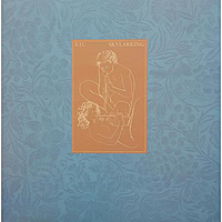 Виниловая пластинка XTC - SKYLARKING (200 GR)
