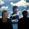 Виниловая пластинка БИ 2 - SPIRIT (2 LP, REISSUE)