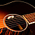 Звукосниматель для гитары L.R.Baggs Anthem SL