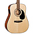 Электроакустическая гитара Cort AD810E