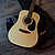Акустическая гитара с аксессуарами Cort CAP810 Trailblazer Pack