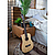 Электроакустическая гитара Cort Earth Mini E Adirondack