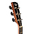 Электроакустическая гитара Cort SFX1F