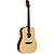 Электроакустическая гитара Enya ED-X0/NA.S0.EQ