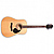 Акустическая гитара с аксессуарами Greg Bennett GD100S (Bundle 2)