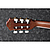 Классическая гитара со звукоснимателем Ibanez AEG50N