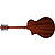 Электроакустическая гитара Ibanez AEWC11
