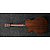 Электроакустическая гитара Ibanez AEG50