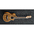 Акустическая гитара Ibanez EWP14WB