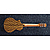 Акустическая гитара Ibanez EWP14WB