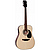 Электроакустическая гитара JET JDE-255
