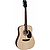 Акустическая гитара JET JD-255