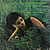 Виниловая пластинка KENNY BURRELL - GOLDEN JAZZ GUITAR (JAPAN ONLY. 1ST PRESS) (винтаж)
