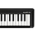 MIDI-клавиатура Korg microKEY2 AIR 49