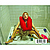 CD-диск LADY GAGA - HARLEQUIN