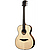 Акустическая гитара LAG Guitars T-318A