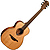 Акустическая гитара LAG Guitars Travel-RC