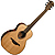 Электроакустическая гитара LAG Guitars Travel-RCE