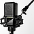 Студийный микрофон Lewitt LCT 441 FLEX