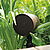 Ландшафтная акустика Monitor Audio Climate CLG160