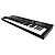 MIDI-клавиатура Native Instruments Komplete Kontrol A49