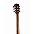 Электроакустическая гитара Parkwood GA48